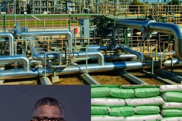 Dangote Fertiliser Ltd : La puissance africaine qui nourrit le monde