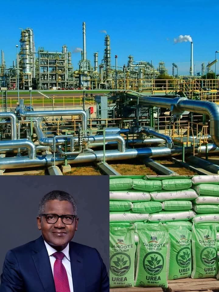 Dangote Fertiliser Ltd : La puissance africaine qui nourrit le monde